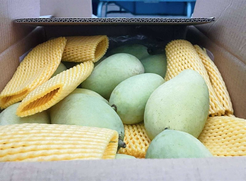 Nhật Bản Đề Xuất Giảm Thuế Thực Phẩm Xuống 1%: Kho Và CTV Cần Chuẩn Bị Gì?